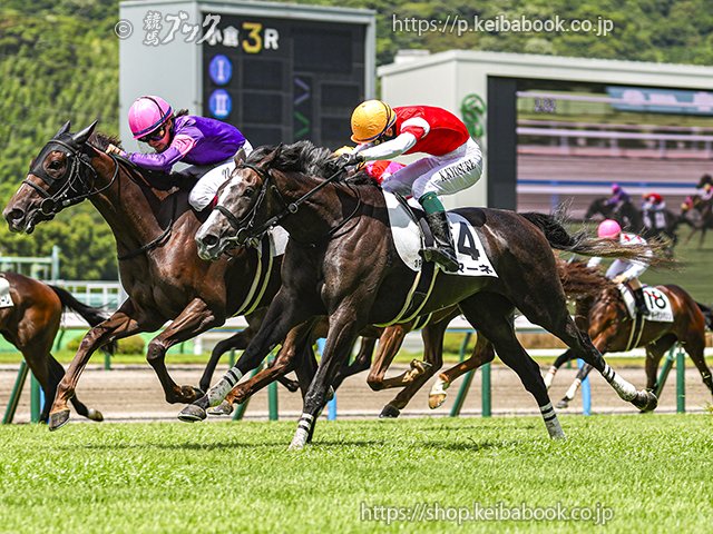 keibabookshop's tweet image. ㊗おめでとうございます📷写真をどうぞ
#ドマーネ の3歳未勝利 2025年7月19日小倉3R
騎手： #国分恭介 生産者： #三嶋牧場（浦河）
#競馬 #keiba