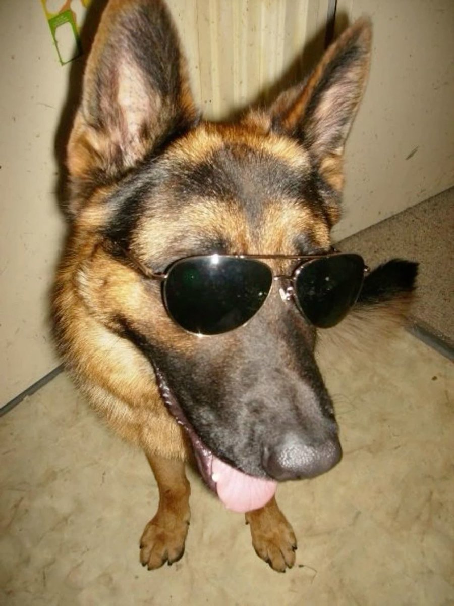 tiredangelwhore's tweet image. stiles silinski #2me