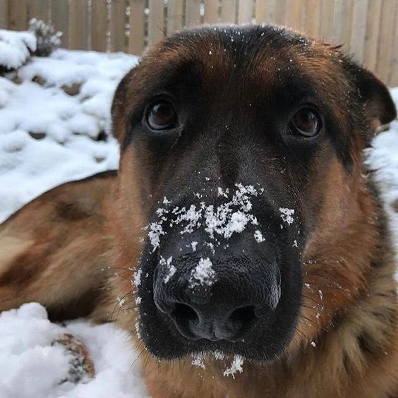 tiredangelwhore's tweet image. stiles silinski #2me