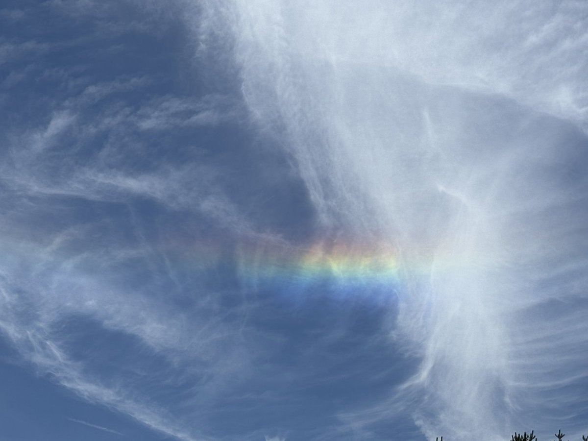 sora* tweet media