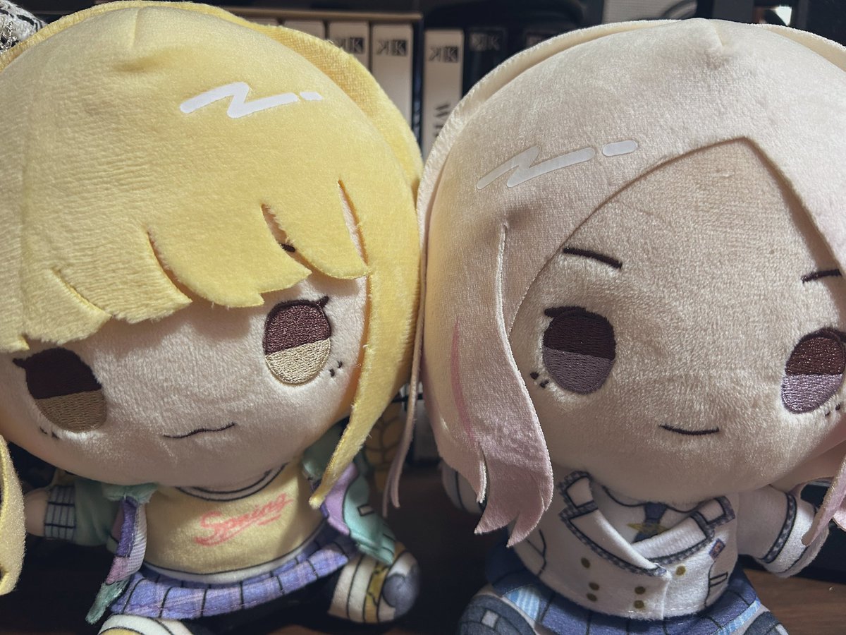 ∗*ﾟ可愛い子ちゃんたちが届いた🐱⭐️