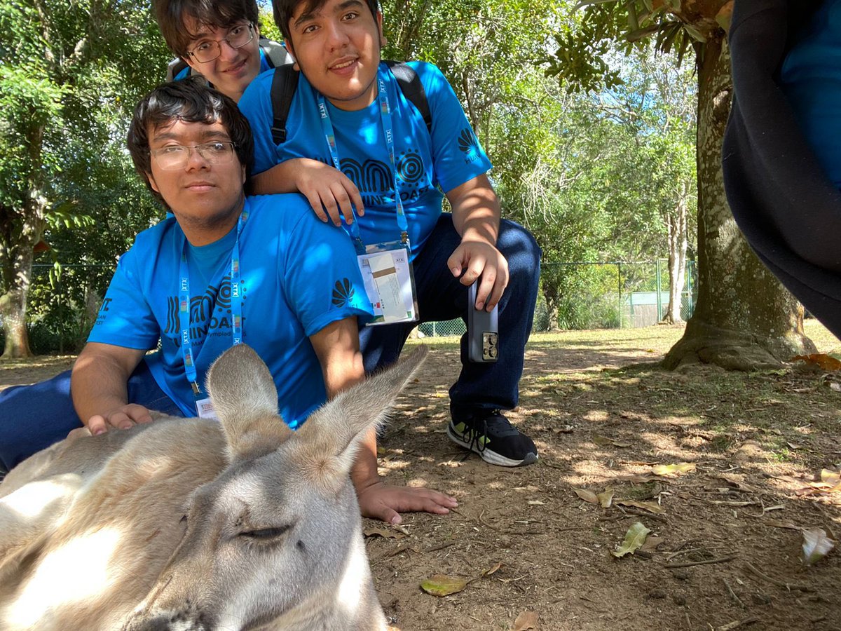 ommtw's tweet image. #ULTIMAHORA México gana 2 medallas de plata 🥈🥈 y 4 de bronce 🥉🥉🥉🥉en la 66 Olimpiada Internacional de Matemáticas, en Australia 🇦🇺 ¡Felicidades al equipo y a sus entrenadores!
Takumi 🥈Emmanuel 🥈Héctor🥉Mateo🥉Iker🥉
Javier🥉#SomosOlímpicos #SomosOlímpicas @GobiernoMX