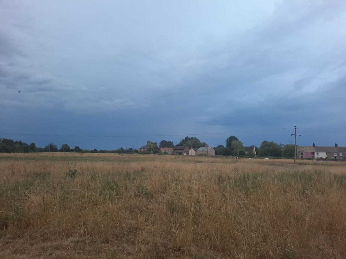 Looks like it's coming 😬