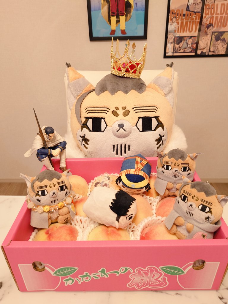 usagimochi1984's tweet image. ほぜ達🍑の季節だよ、ここから9月頭まで毎週お取り寄せ三昧だよ🥰トップバッ夕ーのこちらの🍑、生産量が少なくてかiiがiiわ県外にはほぼ出ないものなのですがめちゃめちゃ甘くて美味しいのにリーズナブルで最高なのです✨️
