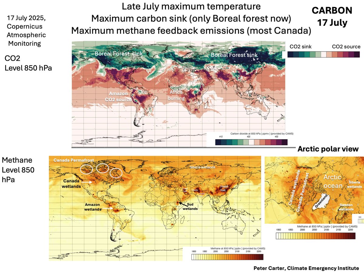 CARBON SINKS DOWN- CARBON FEEDBACKS UP
End July Annual Temperature high. 
Land carbon sinks high- but now only the Boreal 
Carbon feedbacks Mainly Canada methane
Amazon emitting CO2 and methane 
Copernicus Atmospheric Monitoring 17 July 2025
#CO2 #climatechange #globalwarming