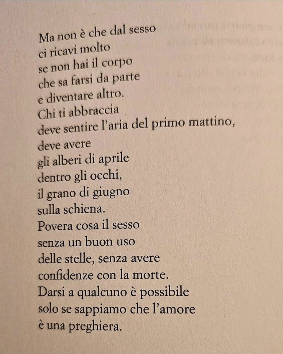 Mariapi82560829's tweet image. È che molti hanno smesso il vizio di pregare.
O pensano di essere immortali.
Buon sabato a tutti,credenti,credibili e non.
(La poesia,stupenda è di Franco Arminio.)