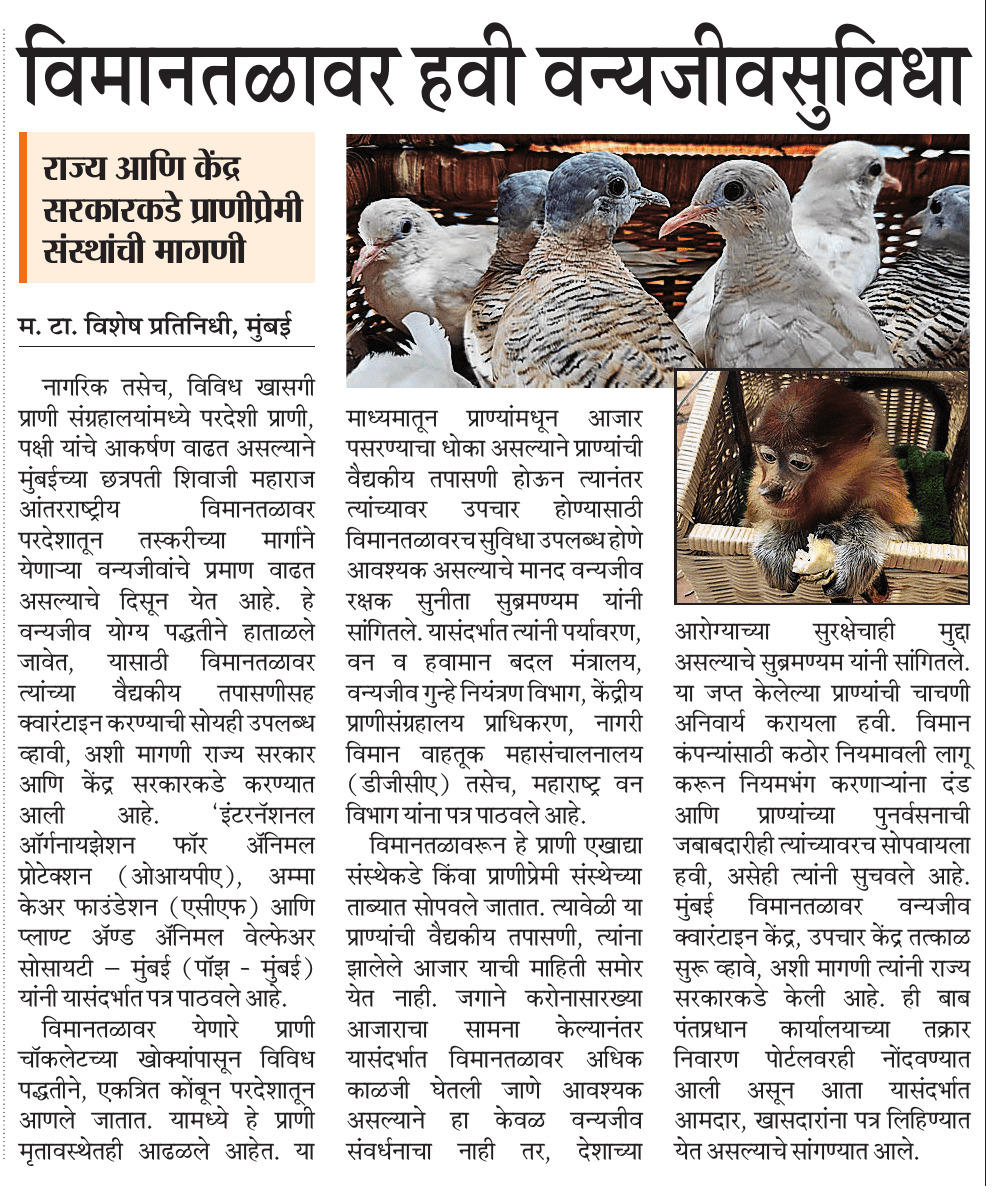 Anuja C (@anujaacmt) on Twitter photo 