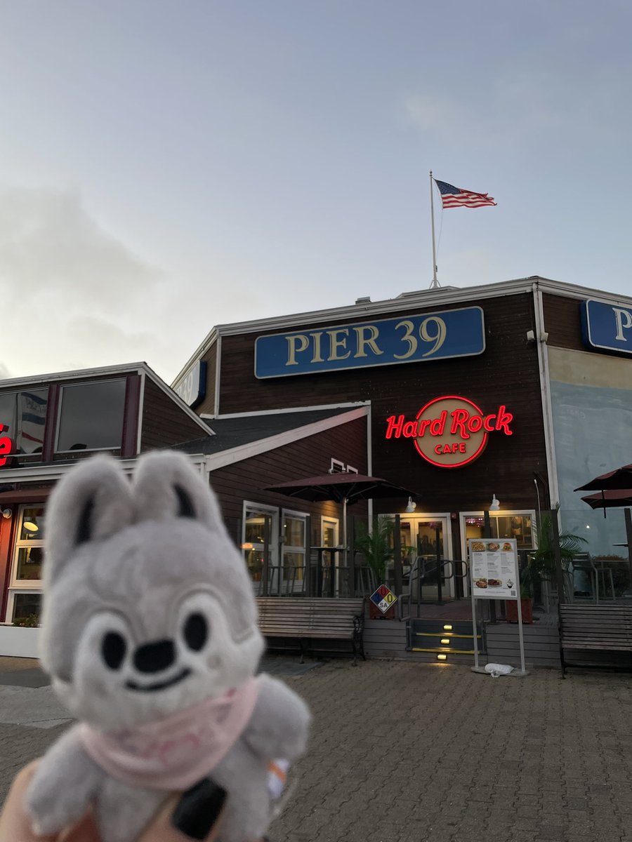 lostmystarsss's tweet photo. wolfie en el pier 39 🌉 https://t.co/vho2rsd25I
