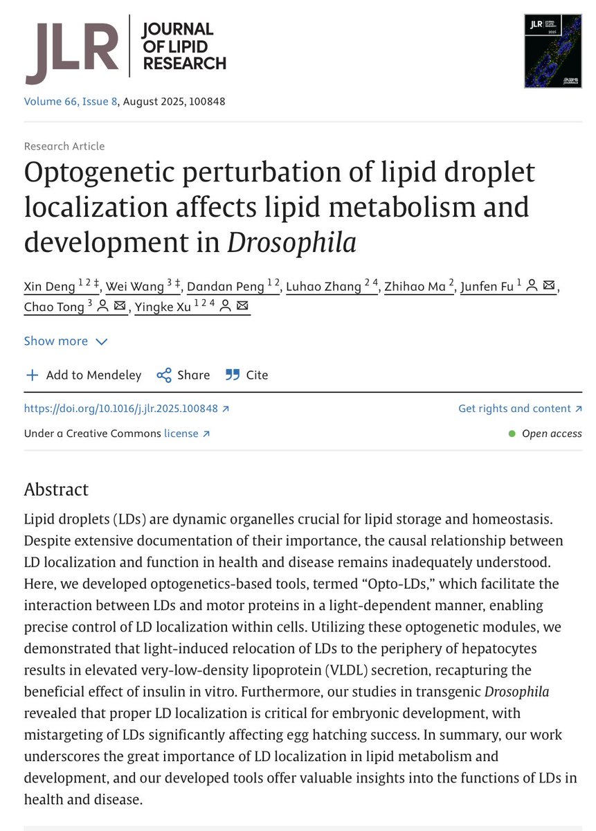Yingke Xu (@yingkexu) on Twitter photo We developed Opto-LDs, which enable light-regulated control of LDs localization within cells. Our work underscores the great importance of LD localization in lipid metabolism and embryo development in Drosophila. <a href="/OptoGRC/">Optogenetics Gordon Research Conference</a> <a href="/jlipidres/">Journal of Lipid Research</a> <a href="/OpenOpto/">OpenOptogenetics</a>
sciencedirect.com/science/articl… We developed Opto-LDs, which enable light-regulated control of LDs localization within cells. Our work underscores the great importance of LD localization in lipid metabolism and embryo development in Drosophila. <a href="/OptoGRC/">Optogenetics Gordon Research Conference</a> <a href="/jlipidres/">Journal of Lipid Research</a> <a href="/OpenOpto/">OpenOptogenetics</a>
sciencedirect.com/science/articl…