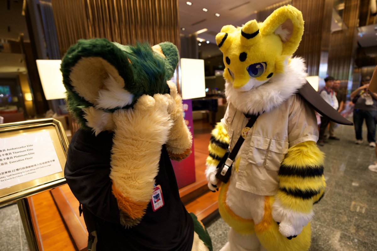 NoremFox's tweet image. 死亡凝視
#UTFG2025