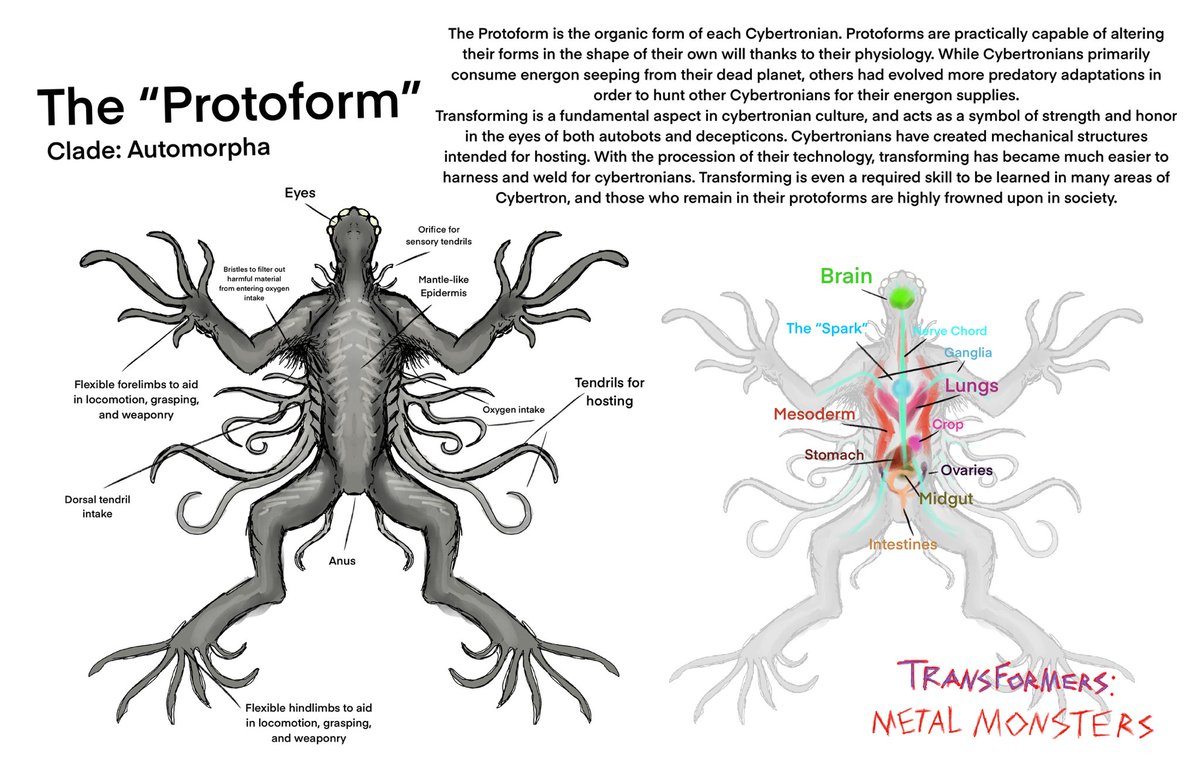 Cybertronian transformation and Protoform Biology for my transformers series!
