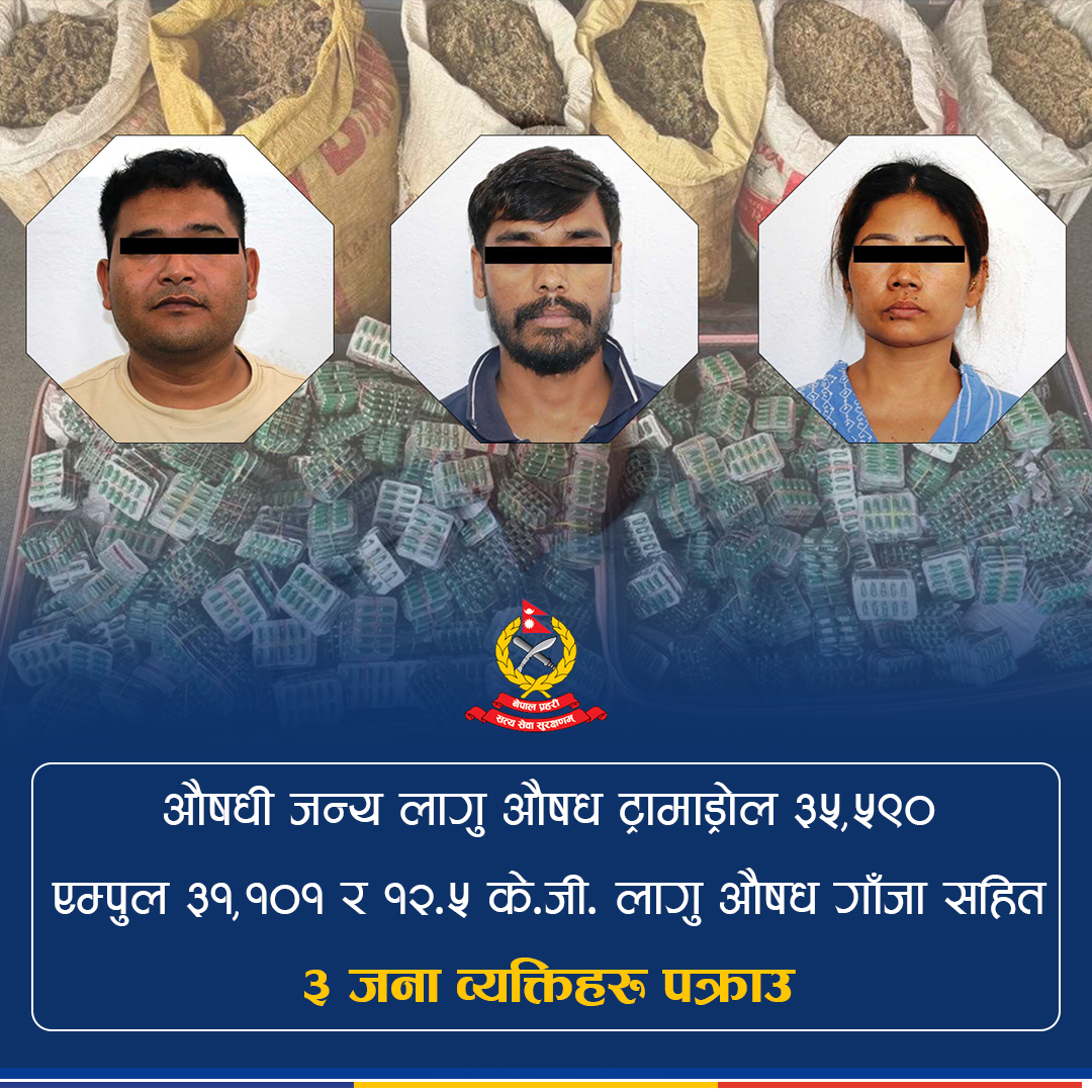 NepalPoliceHQ's tweet image. औषधी जन्य लागु औषध ट्रामाड्रोल ३५,५९०, एम्पुल ३१,१०१ र १२.५ के.जी लागु औषध गाँजा सहित ३ जनना व्यक्तिहरु पक्राउ ।
#NepalPolice #BelieveInBlue #ToServeandProtect #नेपालप्रहरी