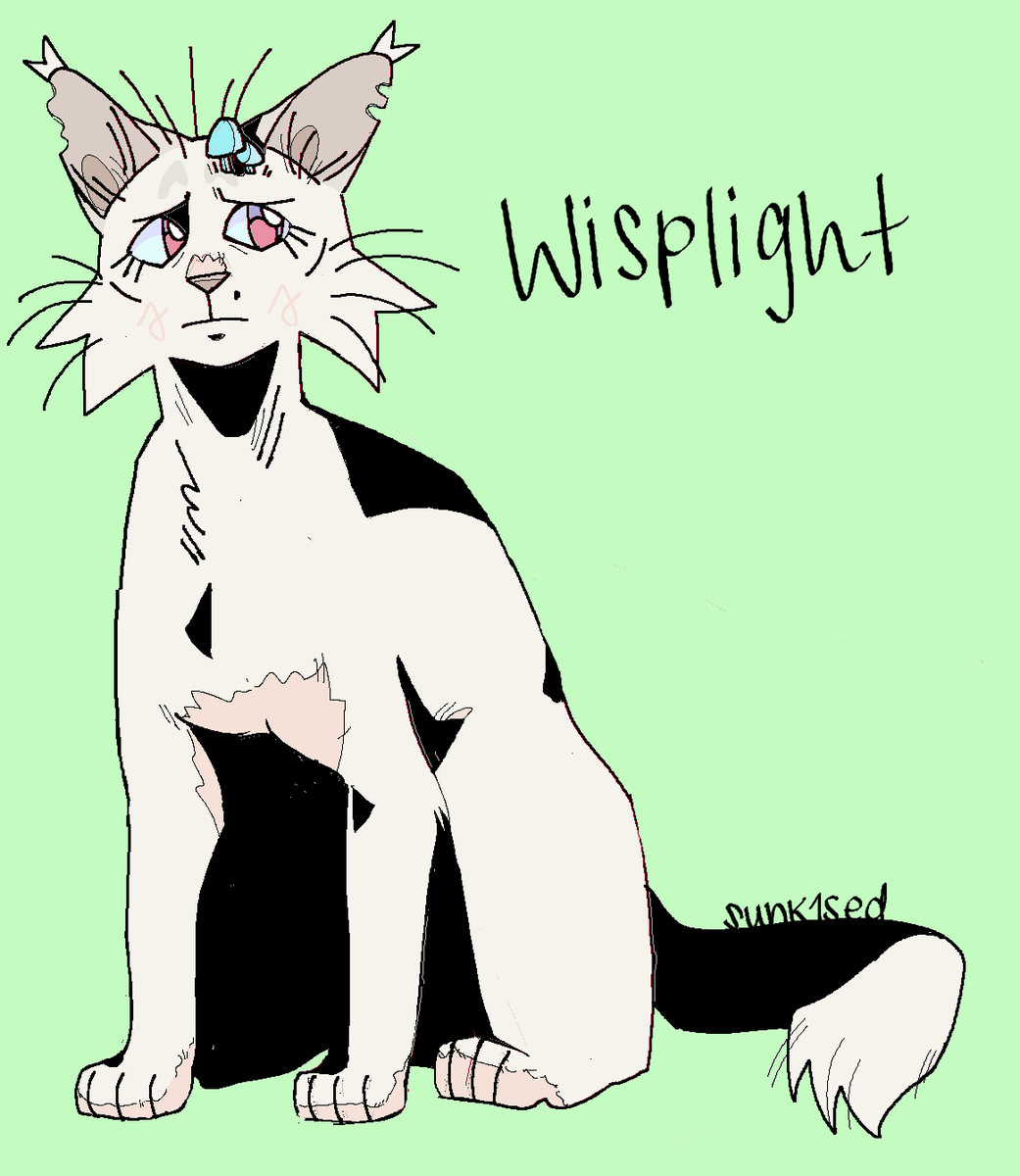 🪴 fitz / sunk 🦌 🪴 tweet media