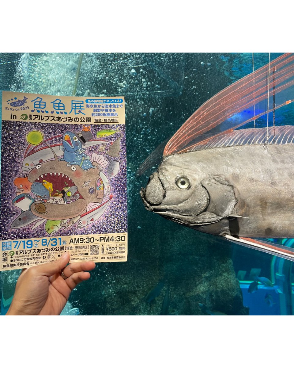 うおすいのリュウグウノツカイの剥製を手掛けてくださった小川アート