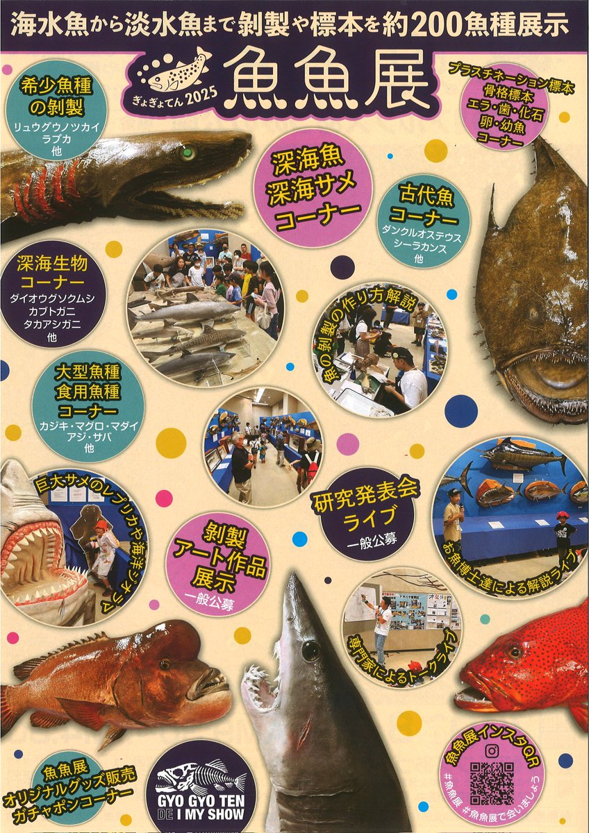 うおすいのリュウグウノツカイの剥製を手掛けてくださった小川アート