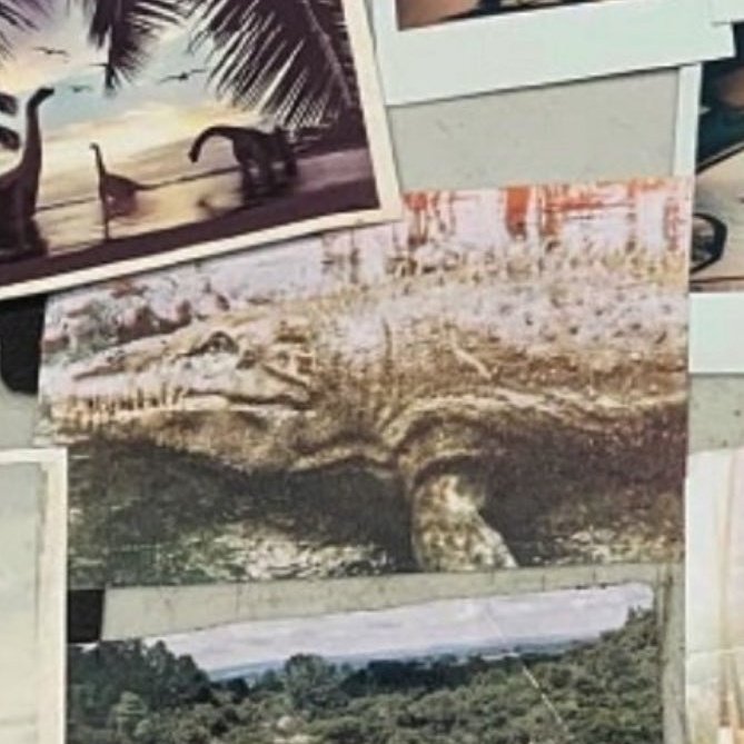 Nueva Era tweet media