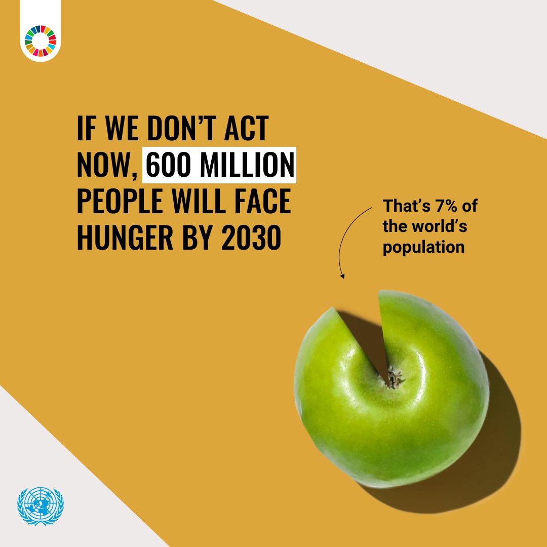 GlobalGoalsUN's tweet image. By 2030, over 600 million people may go hungry.
That’s why Sustainable Development Goal 2 — Zero Hunger — works to ensure food security for all.
Learn more about the #GlobalGoals: un.org/sustainabledev…