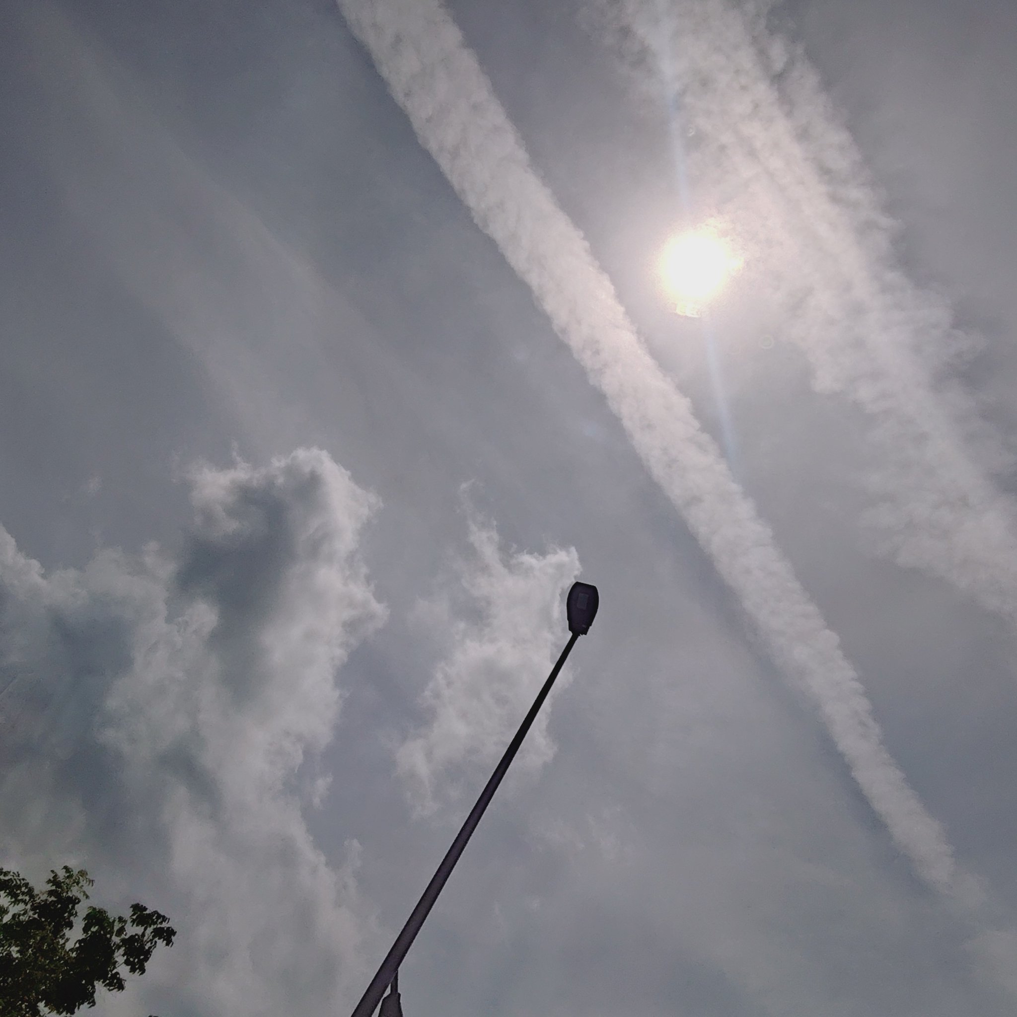 ヒコウキ雲 🌸さちこ🌸 on X: 