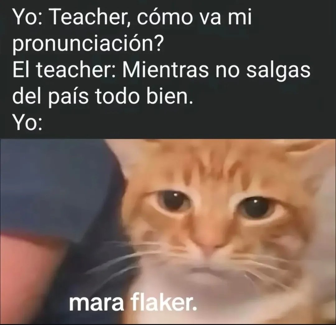 GEW Kreisverband Region Hannover (@gew_hannover) • Instagram photos and  videos, image size:1080x1046