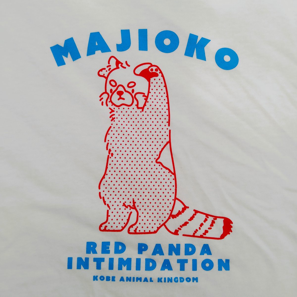 kobe_netshop's tweet image. \NEW!/
MAJIOKOシリーズ Tシャツが登場!
・レッサーパンダ
kobe-oukoku.raku-uru.jp/item-detail/18…
・ミナミコアリクイ
kobe-oukoku.raku-uru.jp/item-detail/18…