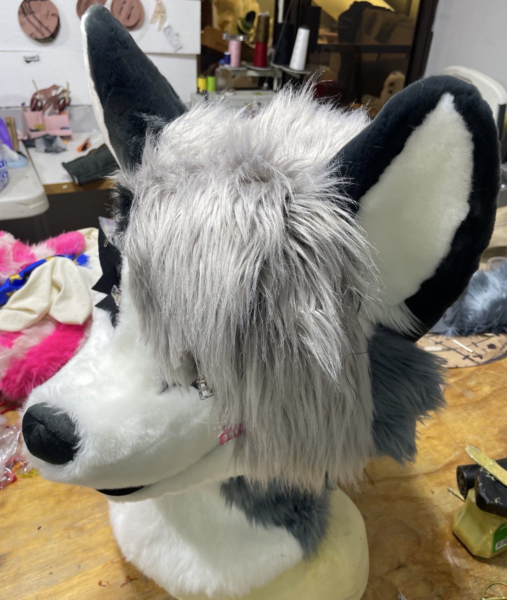 PawiePaws's tweet image. She has been sold!
Thank you all for the interest! More pictures soon! She has more things I’ve not pictured ❤️🤍🖤
