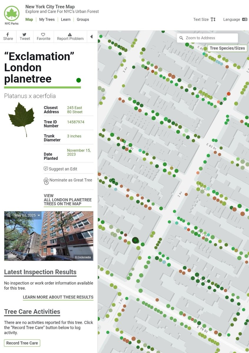 뉴욕의 모든 나무의 위치와 정보 데이터베이스를 퍼블릭 리소스로 저장되어있다는 것이 정말로 아름답다
tree-map.nycgovparks.org/tree-map
