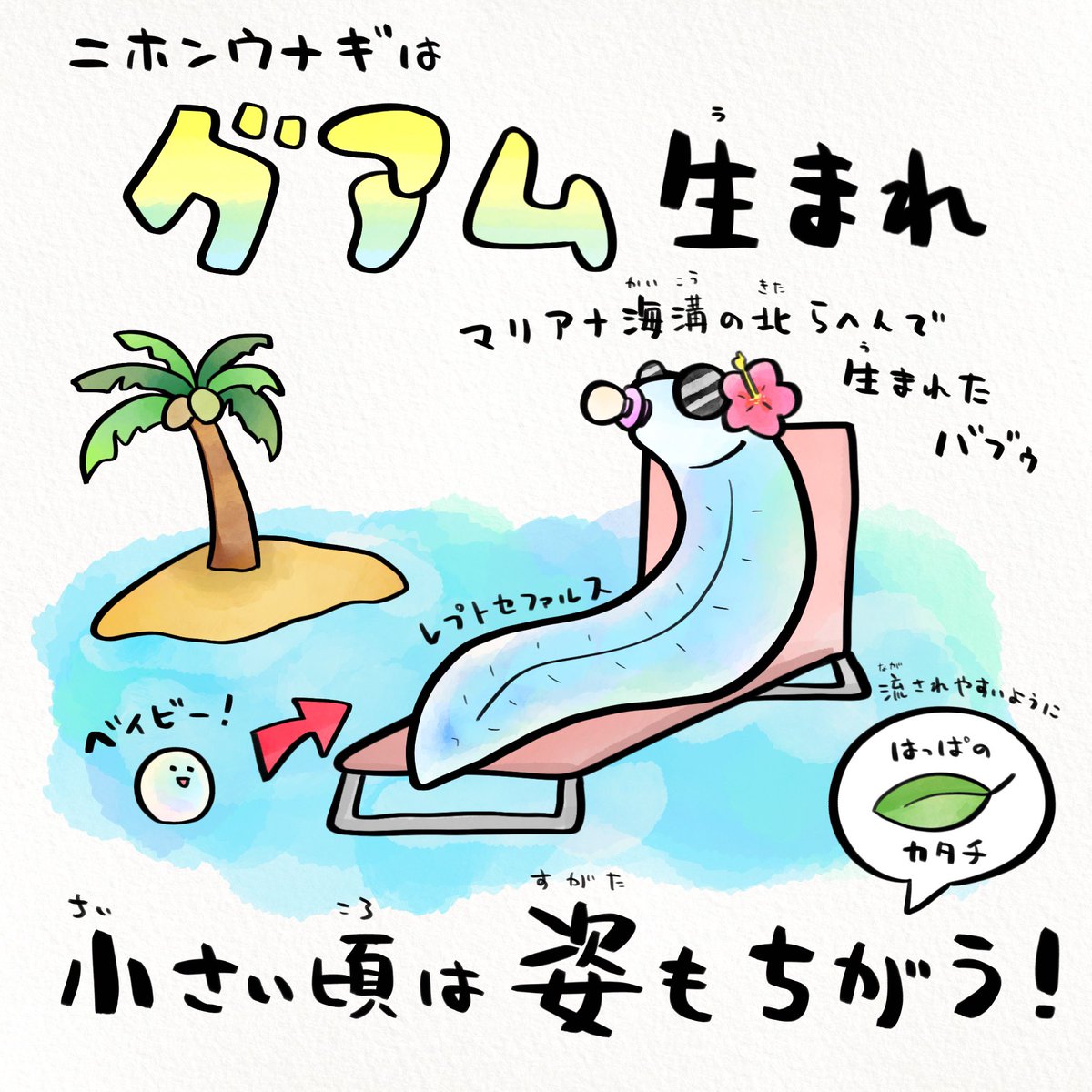 さかなのおにいさん かわちゃん on X