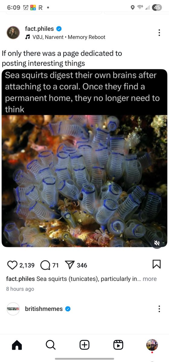 Why does this make me think of politicians?