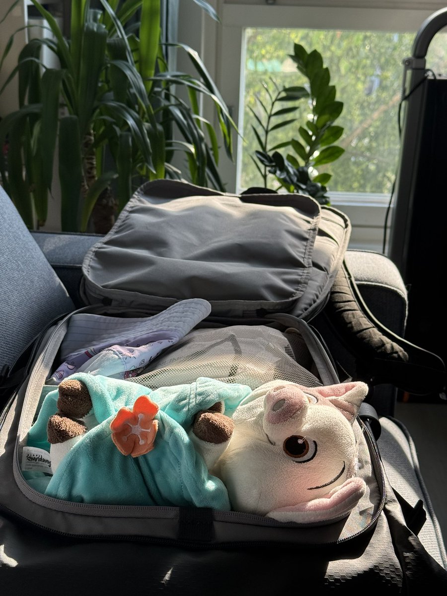 Смотрите кто рад отправиться в путешествие