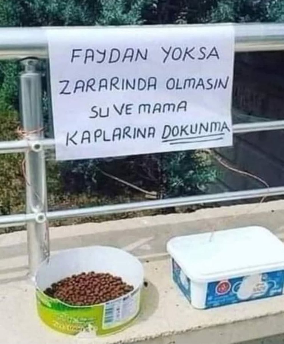 ALPER SUNAÇOĞLU (@alpersunac) on Twitter photo 