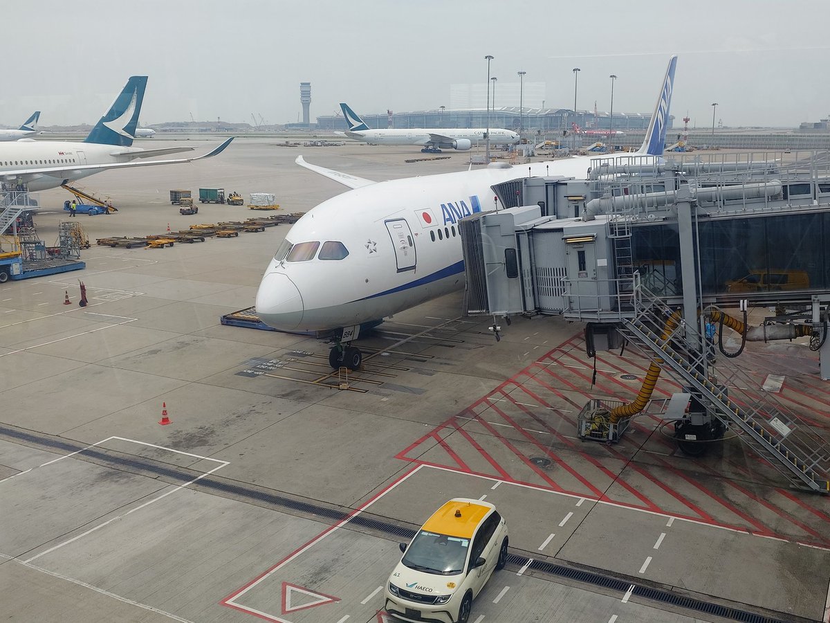 フェリーが欠航なので陸路で香港空港に到着して、いつもならとんかつさぼてんのカツカレーを食べるのだか、お店が無くなっており、豚骨ラーメンにしてみた🤤