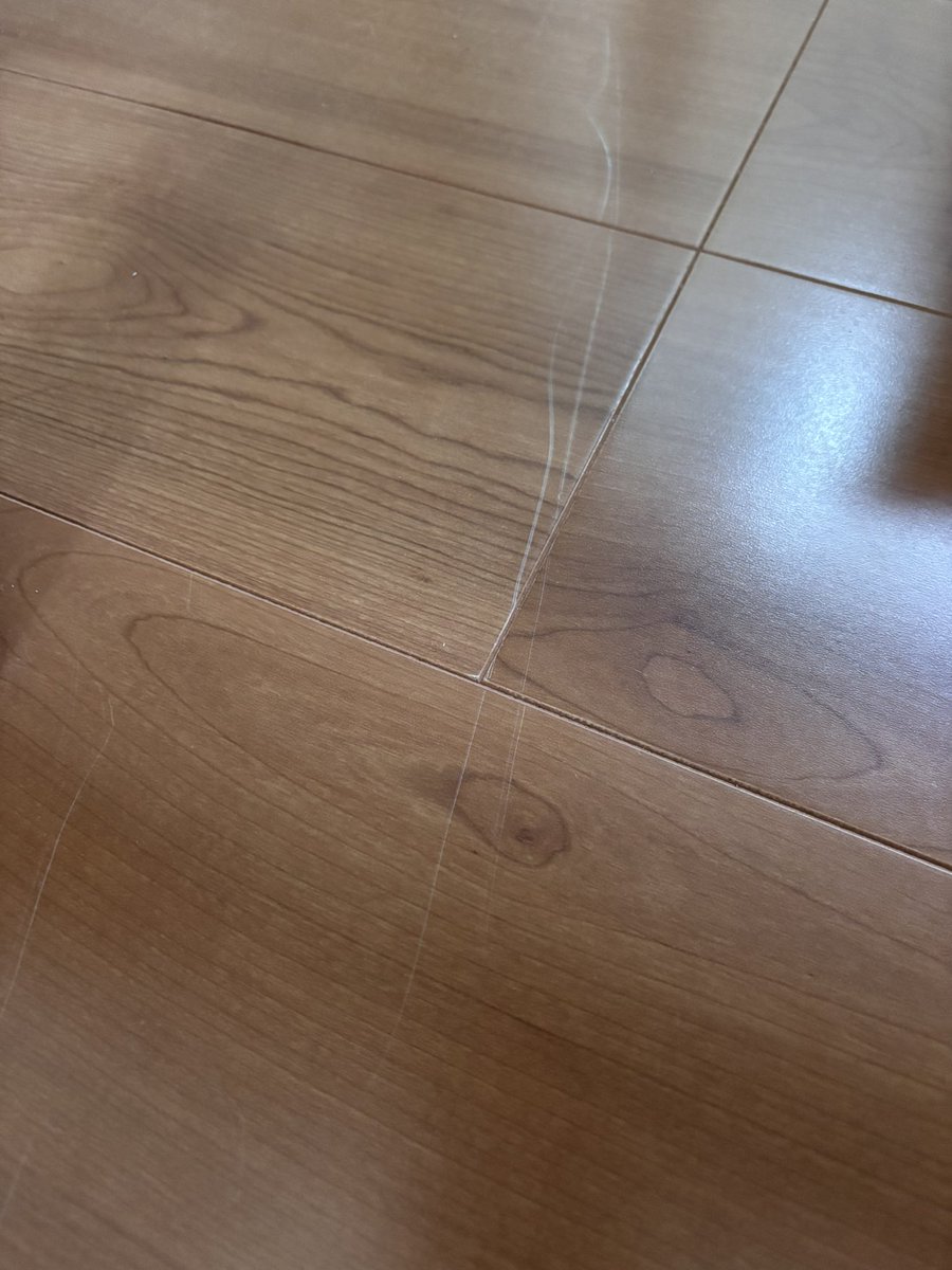 転居当日にすごいことに😢