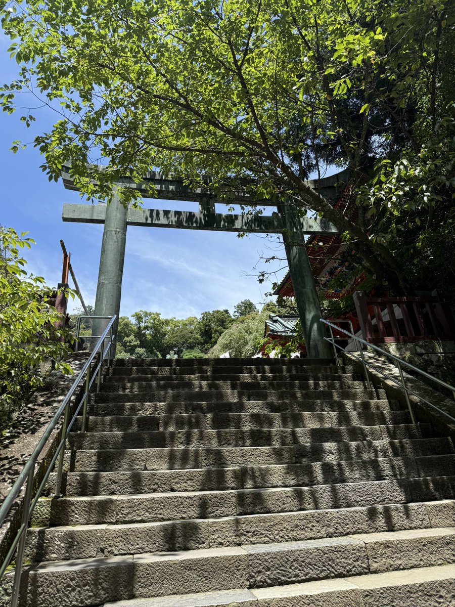 TenandSky's tweet image. 久しぶりの静岡観光　#久能山東照宮