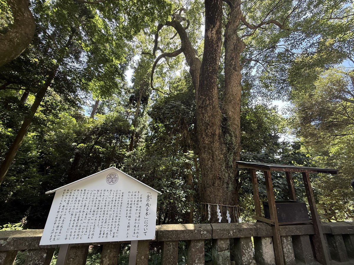 TenandSky's tweet image. 久しぶりの静岡観光　#久能山東照宮