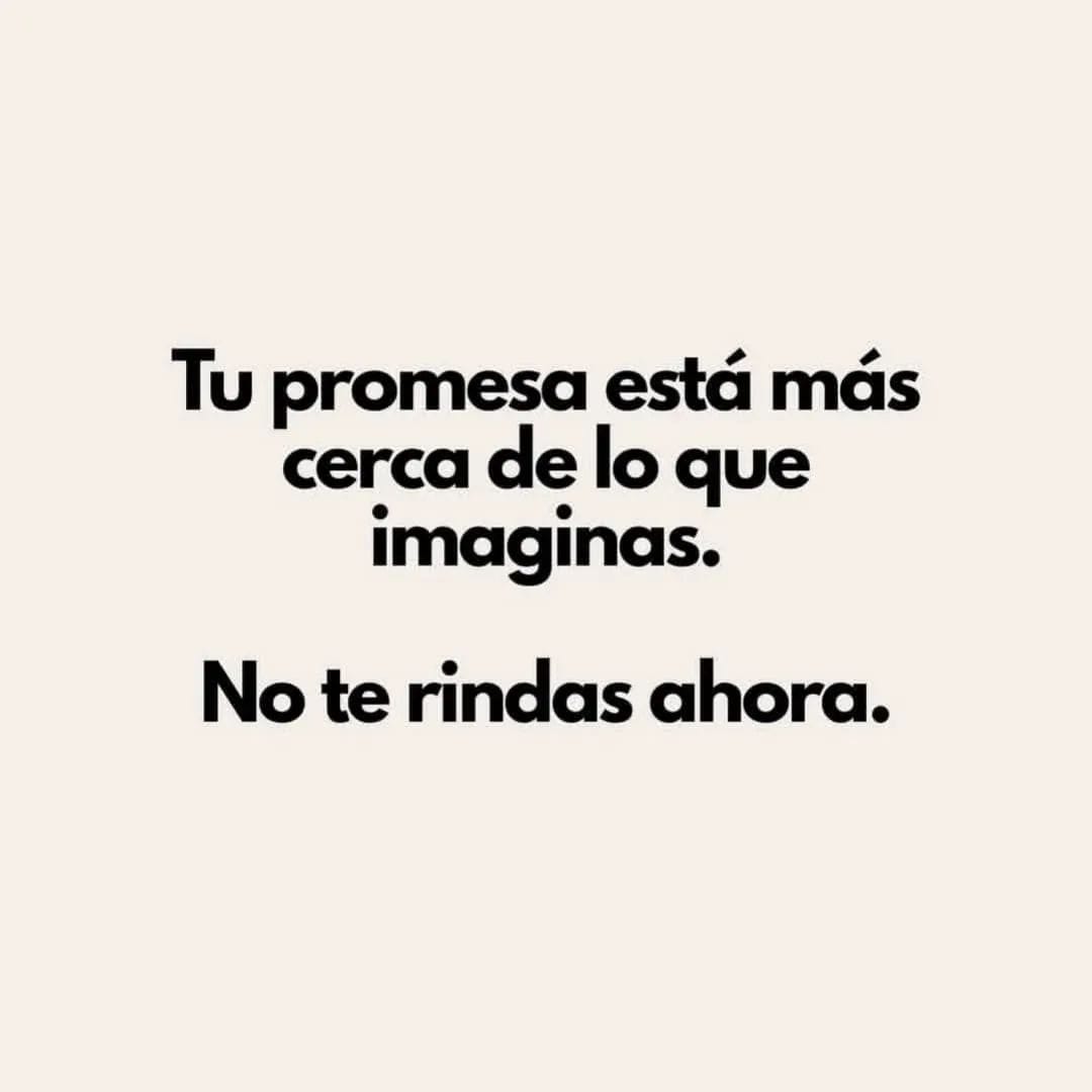 Biblia_Linea's tweet image. 