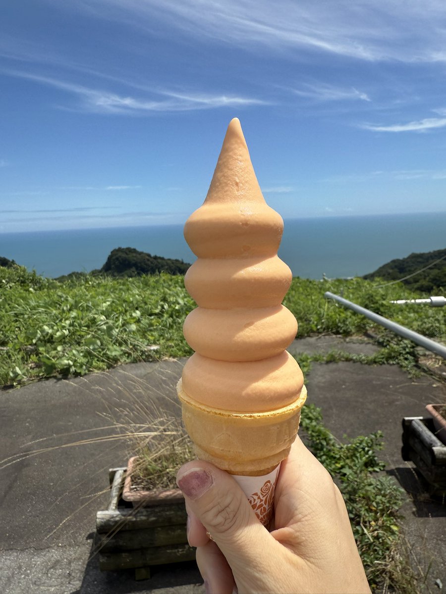 TenandSky's tweet image. みかんソフトクリーム