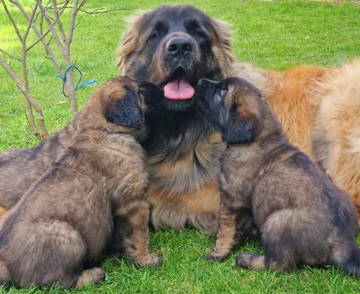 Hier verstehen sich links und rechts und es gibt auch eine tolle Mitte