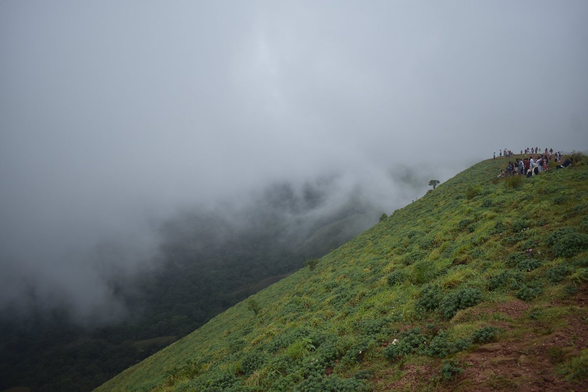 SachinSoonthodu's tweet photo. #Devaramane betta offers more dan wt u expect! 

#Chikkamagalore

#travelphotography #photography #SachinSPhotography #backpack #backpacker #travelgram #travelindia #trekking #traveling #tourism #indiatourism #adventure #Karnataka #tourismindustry #solo #bike #Bengaluru #Trending https://t.co/3qbslwy8d9