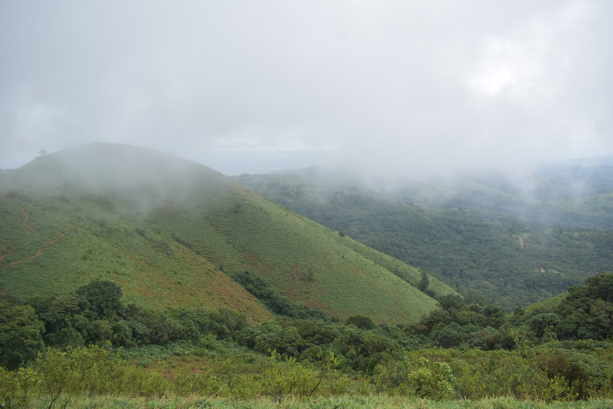 SachinSoonthodu's tweet photo. #Devaramane betta offers more dan wt u expect! 

#Chikkamagalore

#travelphotography #photography #SachinSPhotography #backpack #backpacker #travelgram #travelindia #trekking #traveling #tourism #indiatourism #adventure #Karnataka #tourismindustry #solo #bike #Bengaluru #Trending https://t.co/3qbslwy8d9