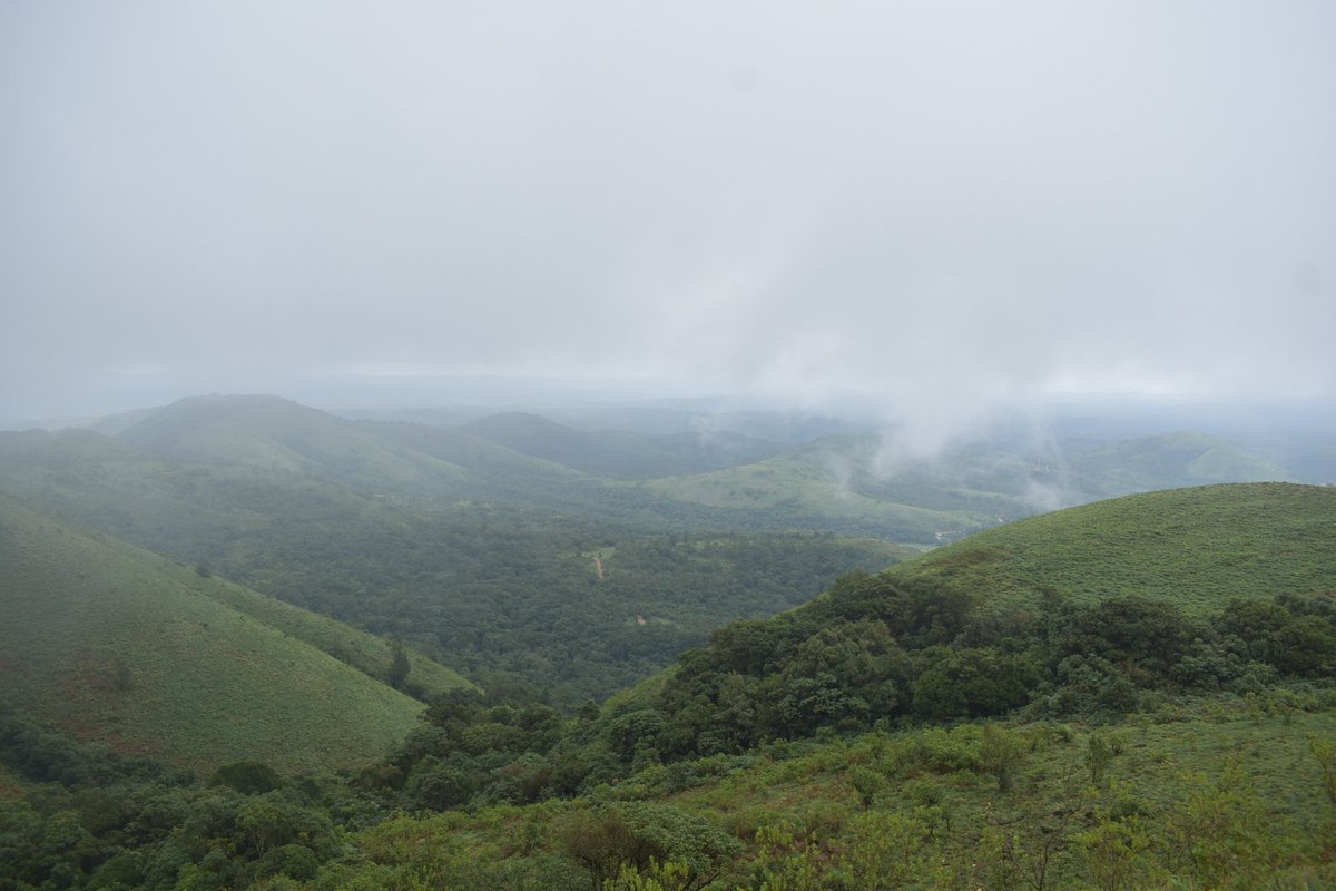 SachinSoonthodu's tweet photo. #Devaramane betta offers more dan wt u expect! 

#Chikkamagalore

#travelphotography #photography #SachinSPhotography #backpack #backpacker #travelgram #travelindia #trekking #traveling #tourism #indiatourism #adventure #Karnataka #tourismindustry #solo #bike #Bengaluru #Trending https://t.co/3qbslwy8d9