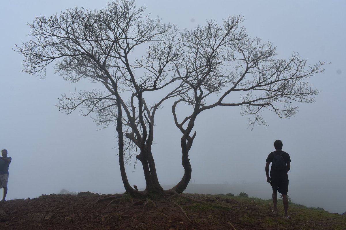 SachinSoonthodu's tweet photo. #Devaramane betta offers more dan wt u expect! 

#Chikkamagalore

#travelphotography #photography #SachinSPhotography #backpack #backpacker #travelgram #travelindia #trekking #traveling #tourism #indiatourism #adventure #Karnataka #tourismindustry #solo #bike #Bengaluru #Trending https://t.co/3qbslwy8d9