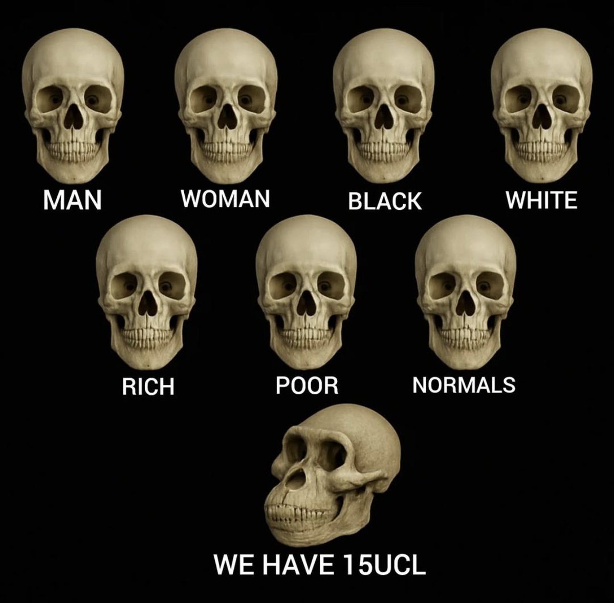 Firsttouchltd's tweet image. 😹😁who understands the last one