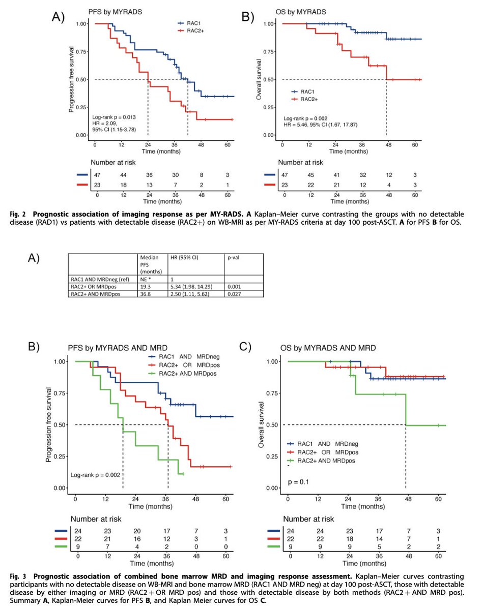 Myeloma_Doc's tweet image. #Myeloma Paper of the Day: Residual disease assessed w/ whole body MRI per MY-RADS protocol linked to shorter PFS (median 24 vs. 42 months) and OS (median 47 months vs. NE) in newly diagnosed or at first relapse patients undergoing first ASCT: pubmed.ncbi.nlm.nih.gov/40675973/. #mmsm