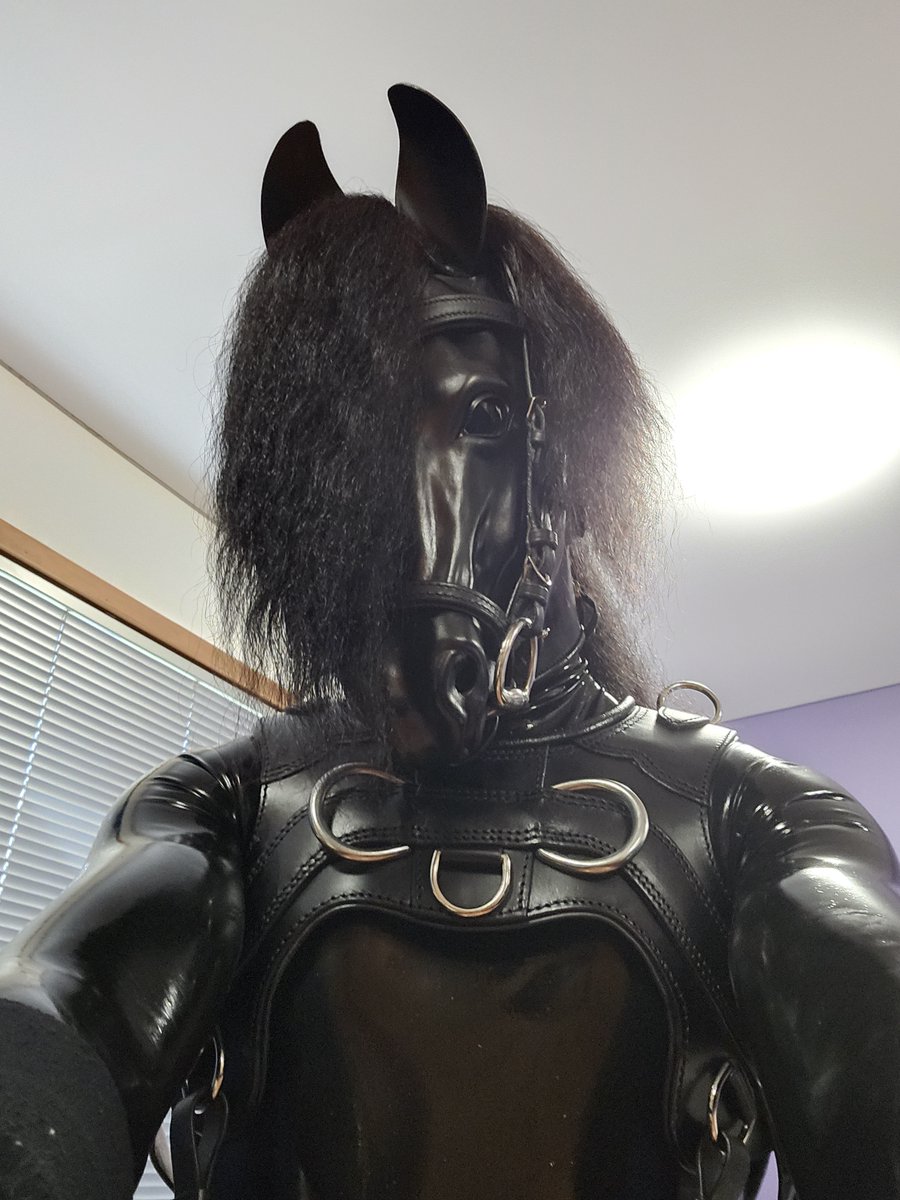 You will never have to feel upset or down again knowing your affectionate stallion is waiting for you back at the stables to take you into his embrace to cuddle and nuzzle all your worries away.

#bdsmcommunity #ponyplay #ponyboy #latex #humanhorse