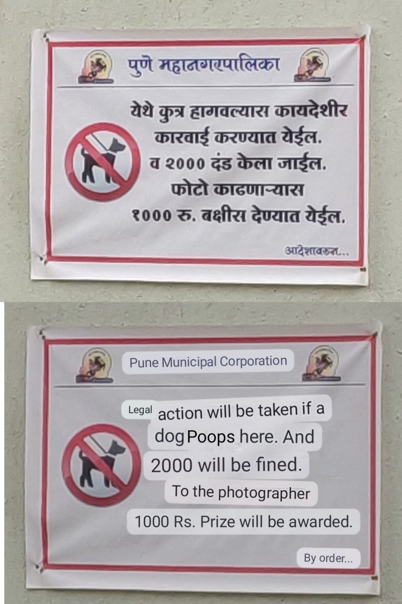 PushpaDhage's tweet image. सार्वजनिक ठिकाणांच्या स्वच्छतेसाठी कठोर कायदा अमलात आणायला हवा,तेव्हाच ‘स्वच्छ भारत मिशन’ यशस्वी होईल.
सार्वजनिक रस्ते म्हणजे पप्पांची प्रॉपर्टी नाही!
श्वानमालक सकाळ-संध्याकाळ त्यांना ‘हलकं’ करायला घेऊन फिरतात 
अशांवर @pcmcindiagovin कठोर कारवाई व्हायला हवी.
ते लाड घरात पाळा!