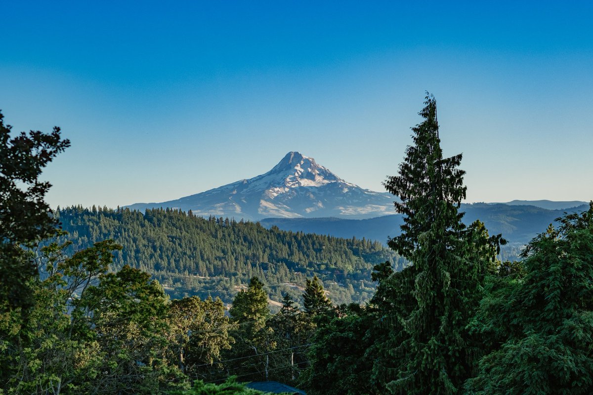 Thormungandr (@thormungandr) on Twitter photo Took a photo in Oregon while enjoying a nice start to a sunset with <a href="/helloNikoheart/">Nikoheart @ USA / Washington State</a> and friends.
I can't believe what a journey content creation has led me through! Took a photo in Oregon while enjoying a nice start to a sunset with <a href="/helloNikoheart/">Nikoheart @ USA / Washington State</a> and friends.
I can't believe what a journey content creation has led me through!
