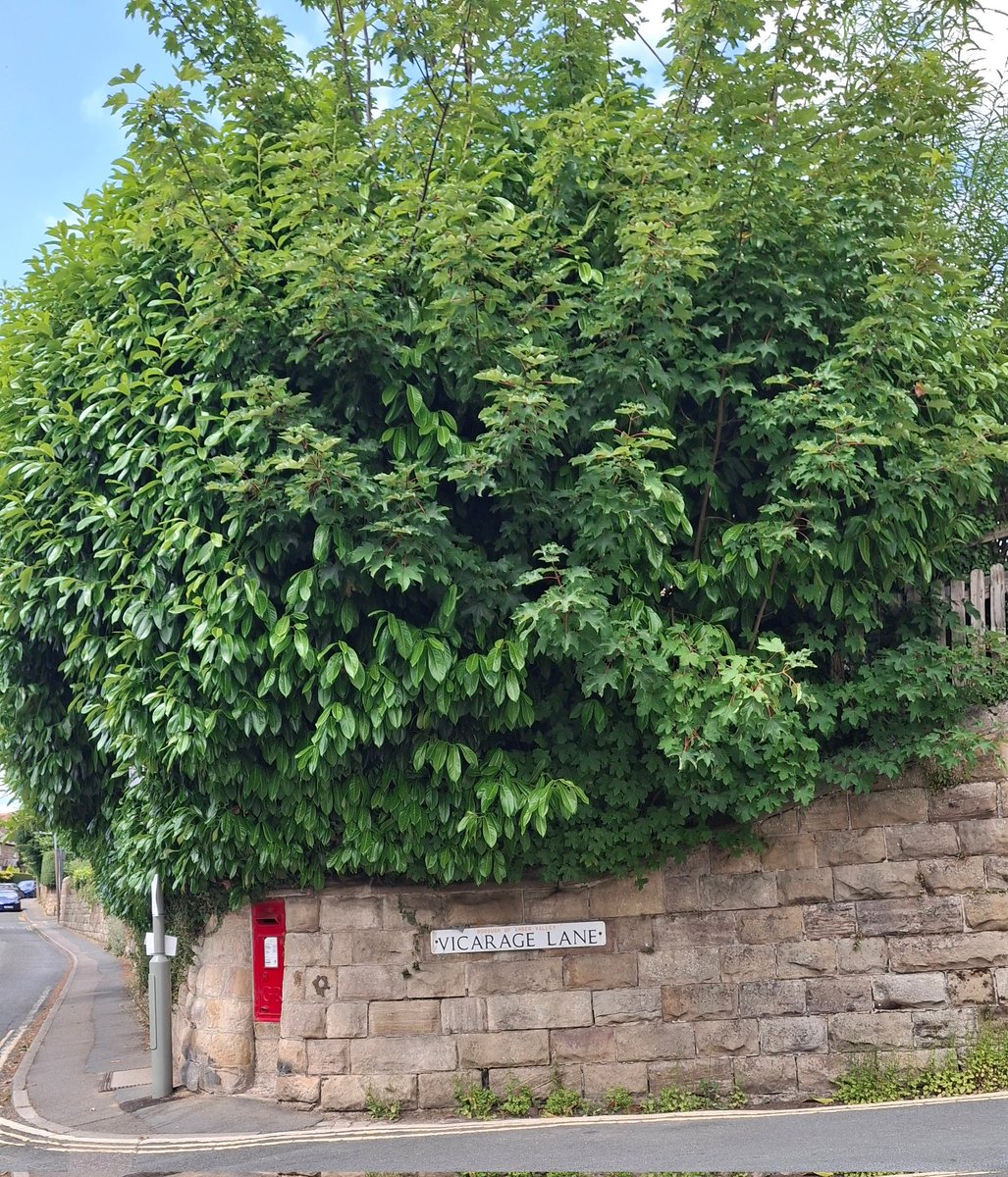 Tucked on the corner of Vicarage Lane,
This post box named George is waiting in vain. 
He's waiting for letters, for cards and for you
So grab pen and paper, you know what to do. 

#postboxSaturday 📝💌📮