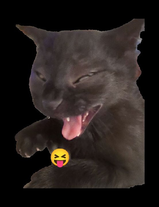 JaviWolf99's tweet photo. @sofiadelwifi cuando vamos a Mimiso por 4ta vez a la semana. https://t.co/yjXHtrOUgj