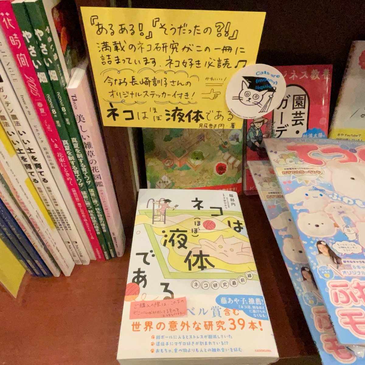 🐱猫好き必読🐱
服部円
『ネコは（ほぼ）液体である　ネコ研究最前線』

今なら長崎訓子さんのかわゆいオリジナルステッカー付きます🎁

#猫 
#服部円 
#長崎訓子
