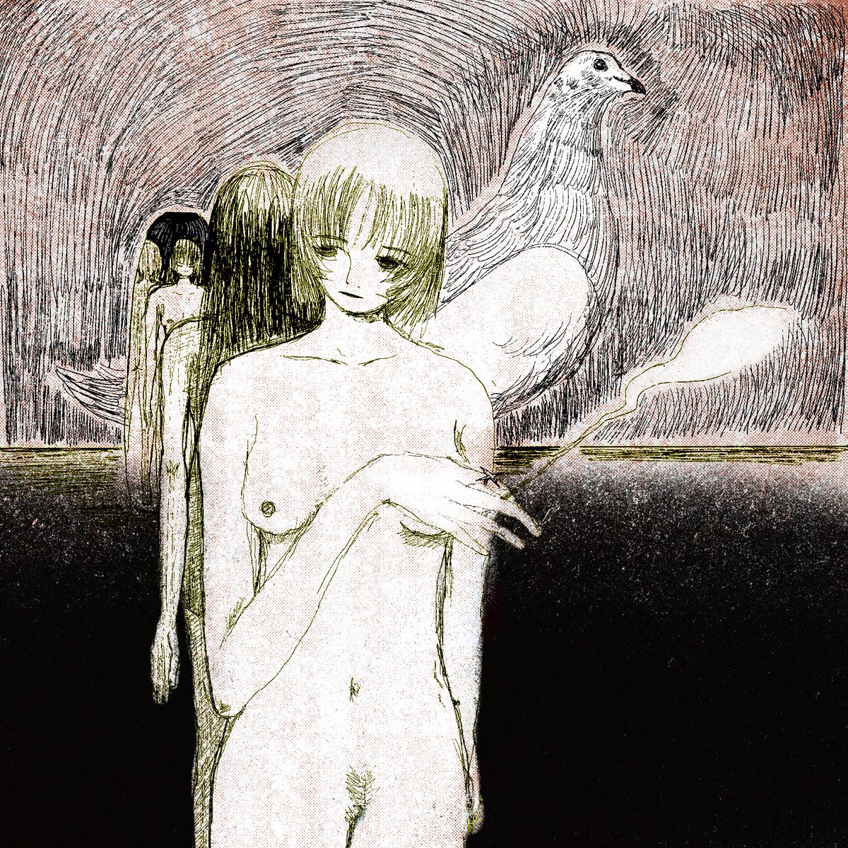 shiyuyu13's tweet image. 鳥
